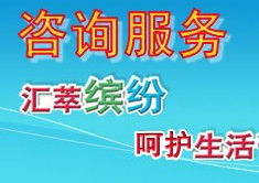 信息咨詢服務 定義、流程與核心價值